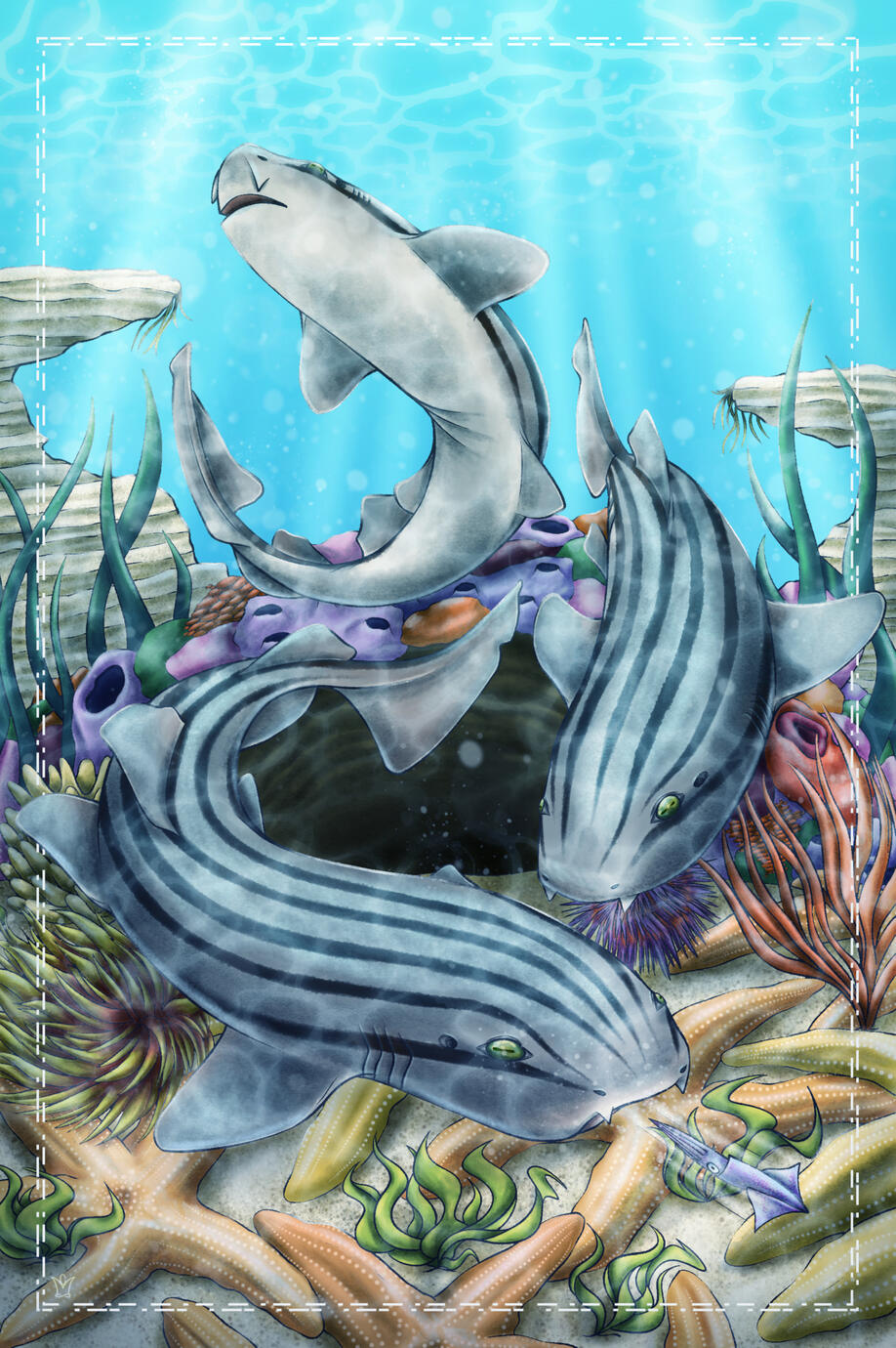 Pyjama Sharks for Charity