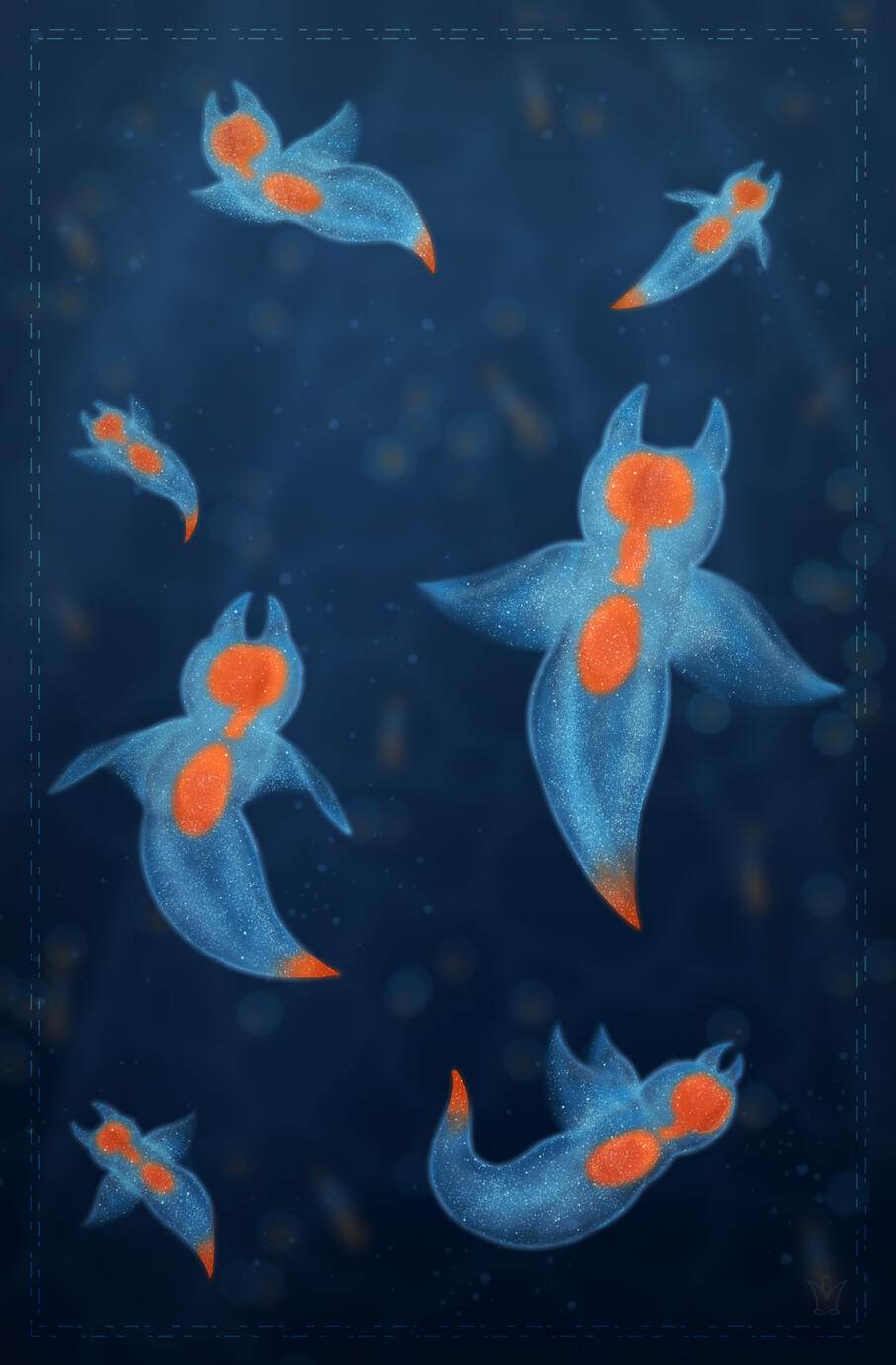 Polar Lights Sea Butterflies